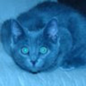 Meet your Posher, Tabatha